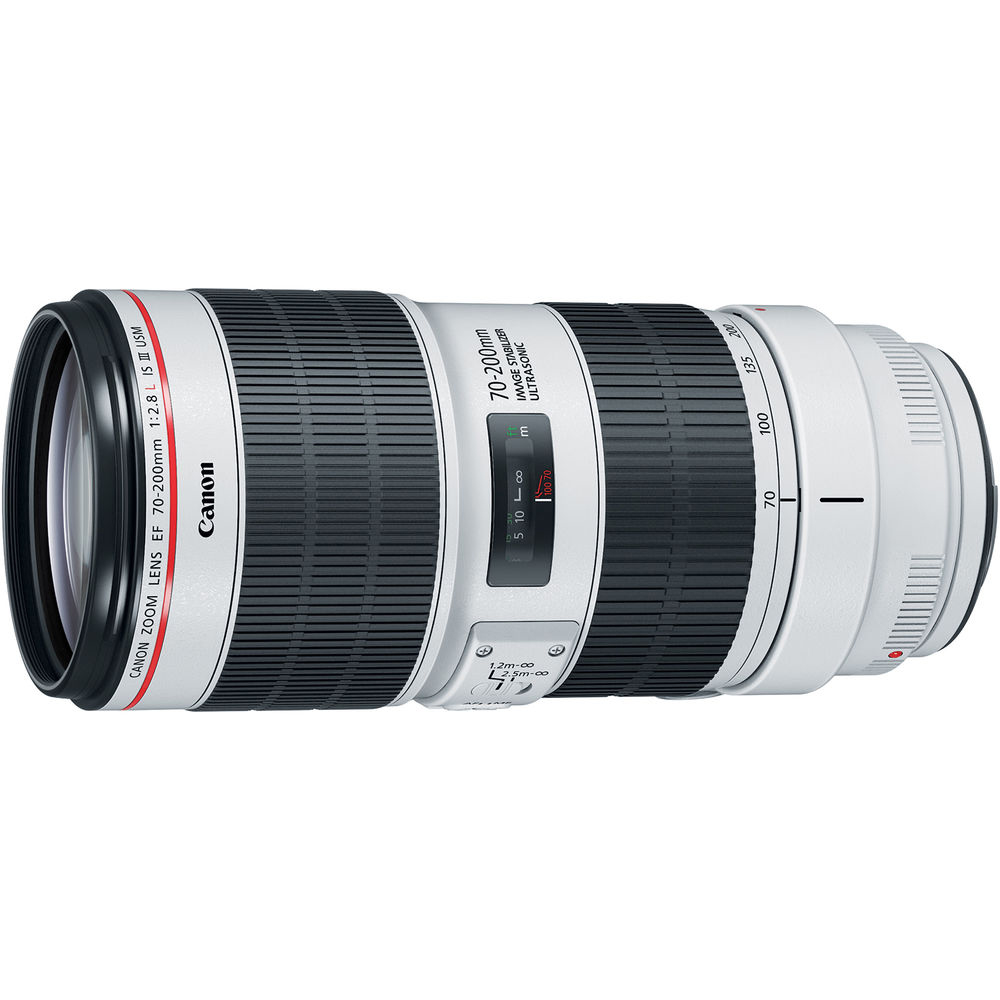 EF70-200mm F2.8L IS III USM（キヤノンEFマウント）