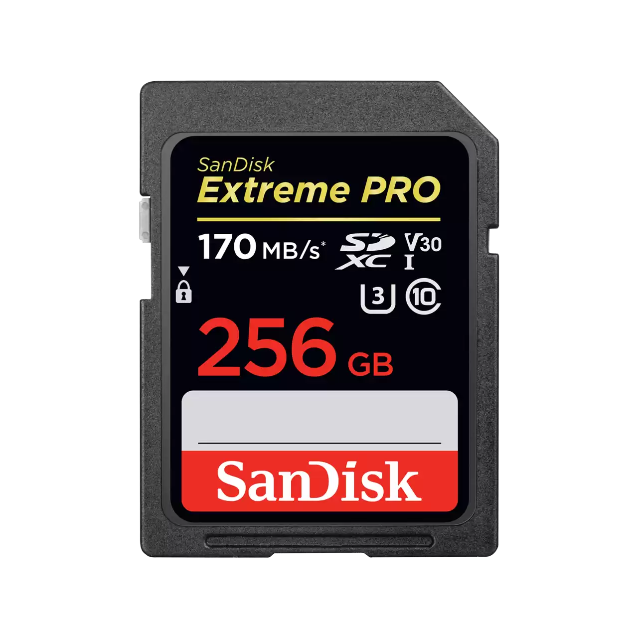 Extreme PRO SDXC 256GB